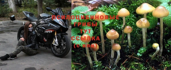 дмт Балабаново